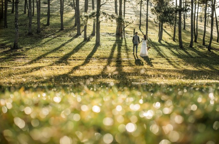 Fotograf ślubny - uwiecznij swoje najpiękniejsze chwile na zdjęciach